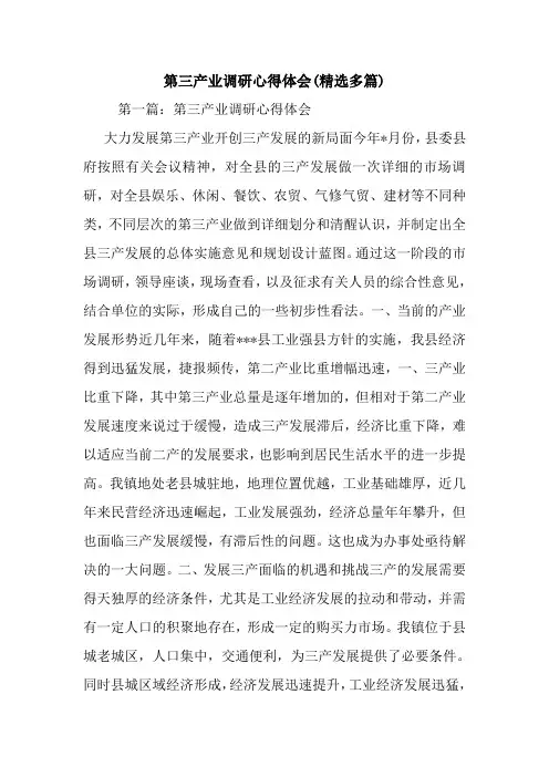 最新第三产业调研心得体会(精选多篇)