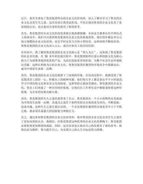 鲁花培训生生之道感想