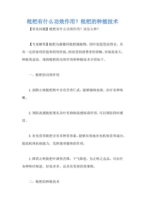 枇杷有什么功效作用？枇杷的种植技术
