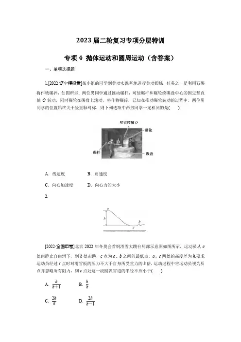 二轮复习专项分层特训专项4抛体运动和圆周运动(含答案)