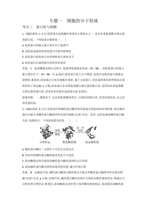 高考生物专题复习-专题一细胞的分子组成-考点三蛋白质与核酸-高考真题练习(附答案)