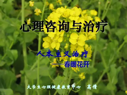 第3讲：人本主义治疗