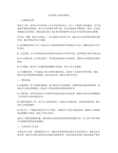非法采矿自查自纠报告
