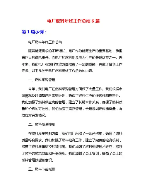 电厂燃料年终工作总结6篇
