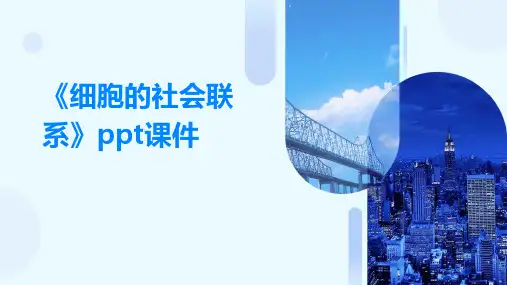 《细胞的社会联系》课件