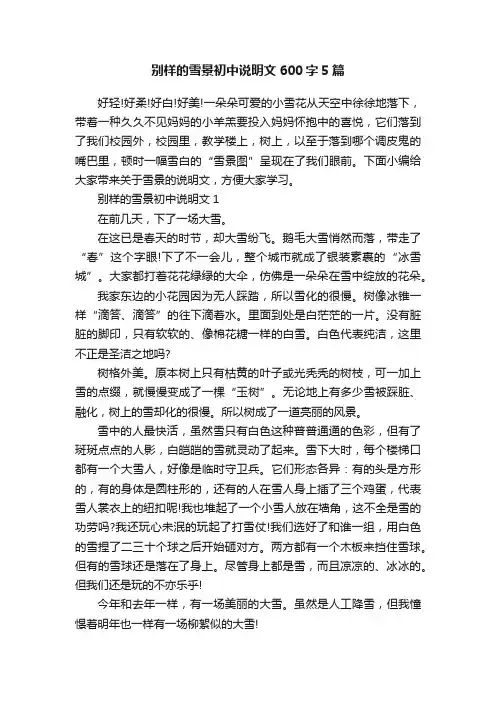 别样的雪景初中说明文600字5篇