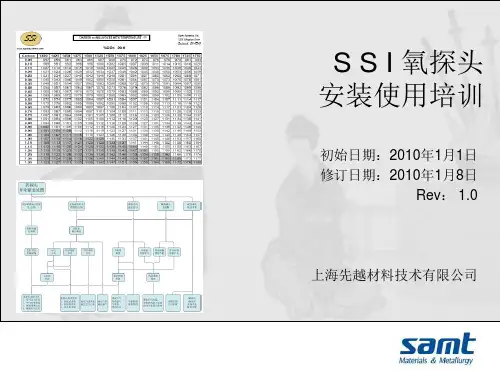 SSI氧探头培训教材100107