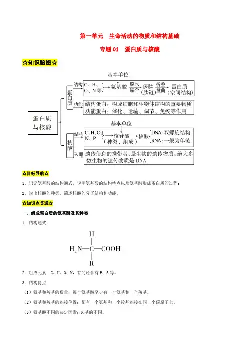 暑期预习2023高中生物专题01蛋白质与核酸知识精讲新人教版必修1
