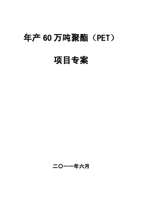 年产60万吨聚酯（PET）