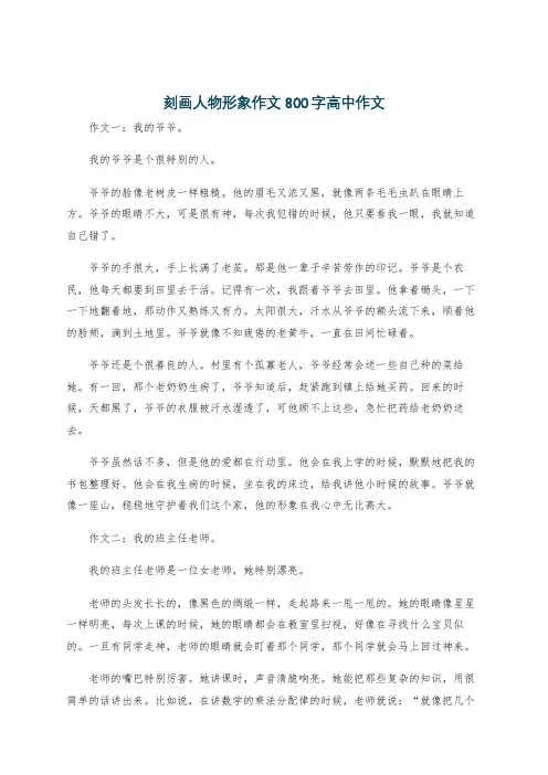 刻画人物形象作文800字高中作文