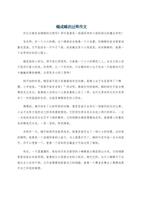 蛹成蝶的过程作文