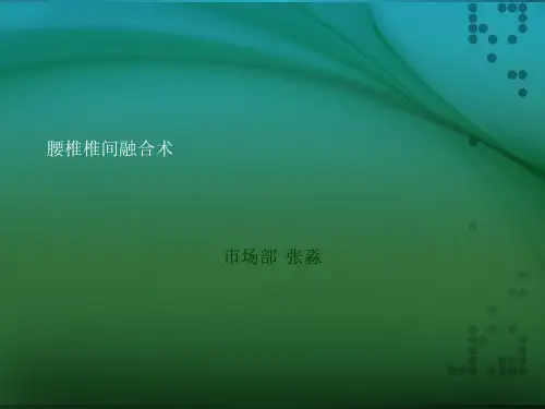腰椎椎间融合术ppt课件