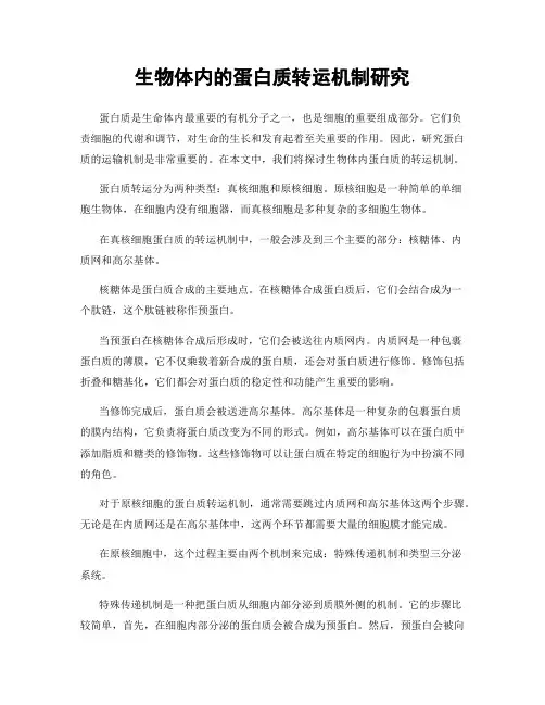 生物体内的蛋白质转运机制研究
