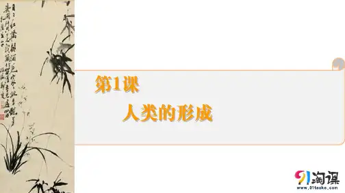 课件3：第1课  人类的形成
