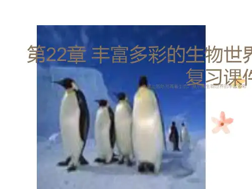 八年生物丰富多彩的生物世界
