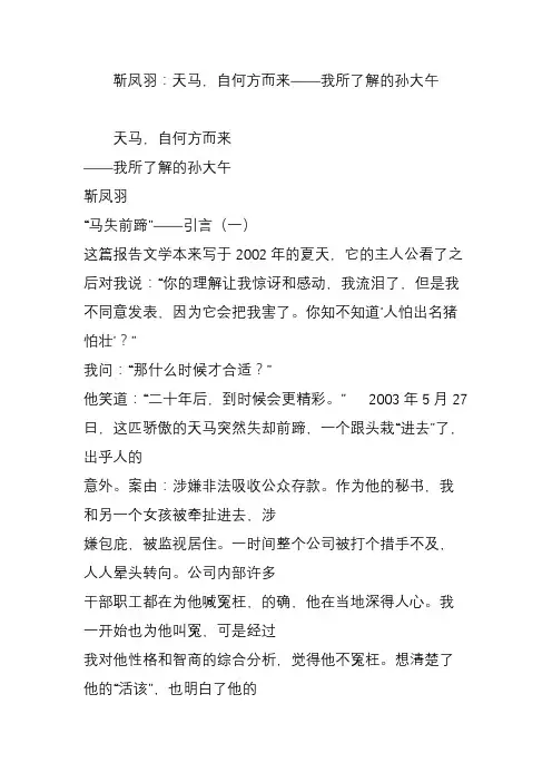靳凤羽：天马,自何方而来——我所了解的孙大午