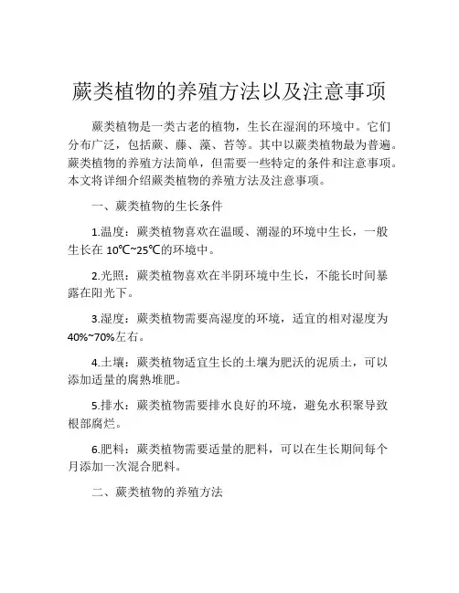 蕨类植物的养殖方法以及注意事项