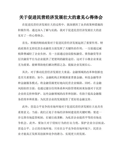 关于促进民营经济发展壮大的意见心得体会