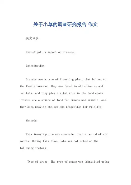 关于小草的调查研究报告 作文