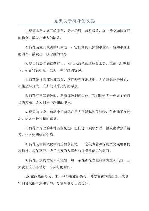 夏天关于荷花的文案