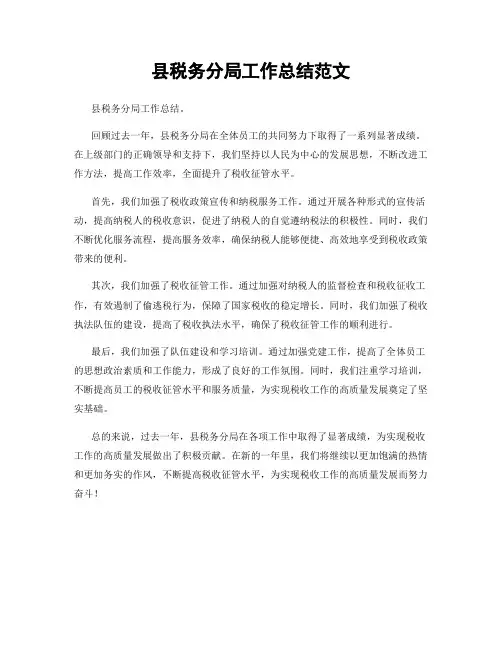 县税务分局工作总结范文