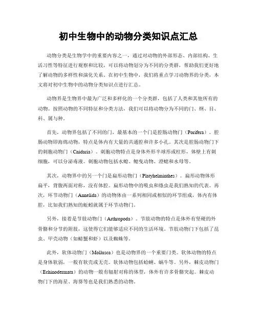 初中生物中的动物分类知识点汇总