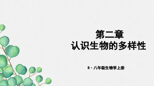 (新)生物人教版八上《第二章 认识生物的多样性》公开课(课件)