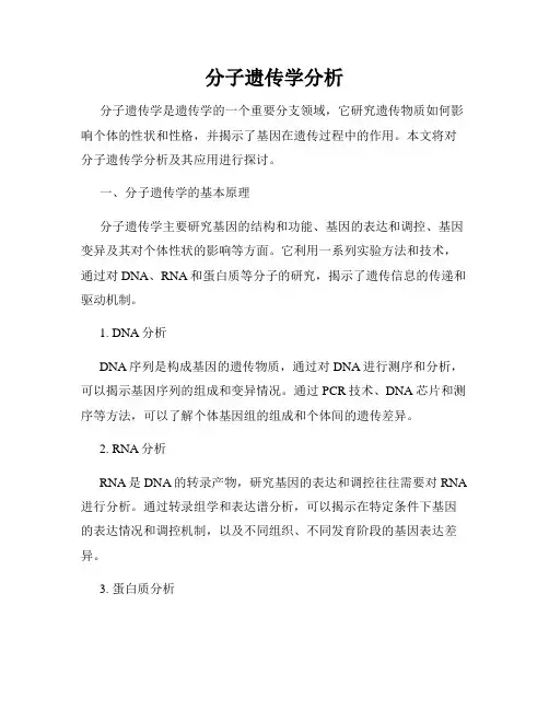 分子遗传学分析