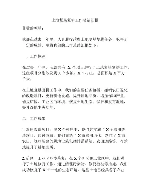 土地复垦复耕工作总结汇报