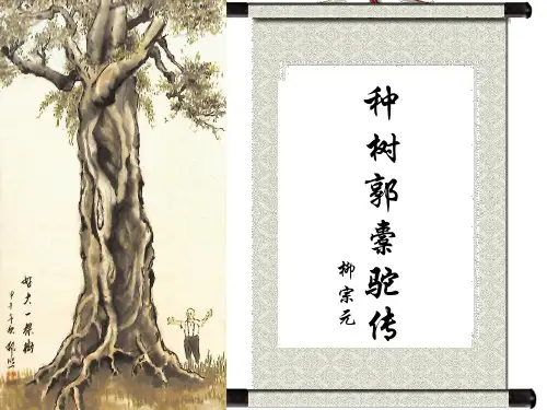 优质课一等奖高中语文选修《种树郭橐驼传》