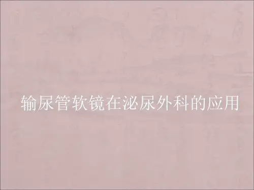 输尿管软镜ppt课件