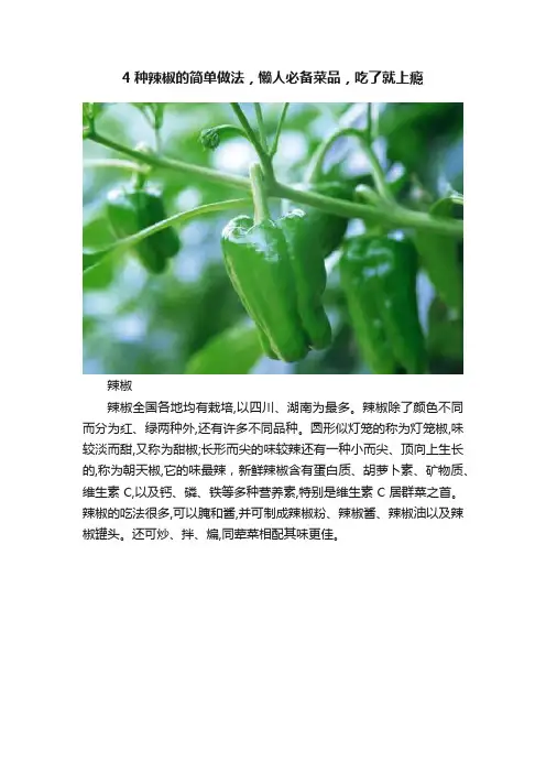4种辣椒的简单做法，懒人必备菜品，吃了就上瘾