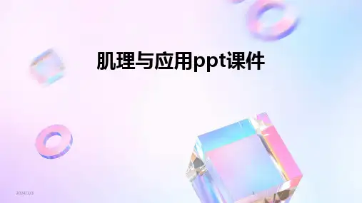 2024版年度肌理与应用ppt课件