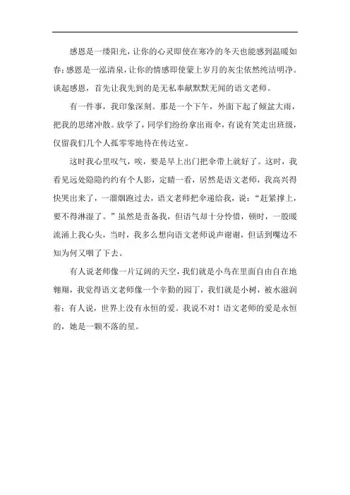 感恩一路有你老师激励我的作文