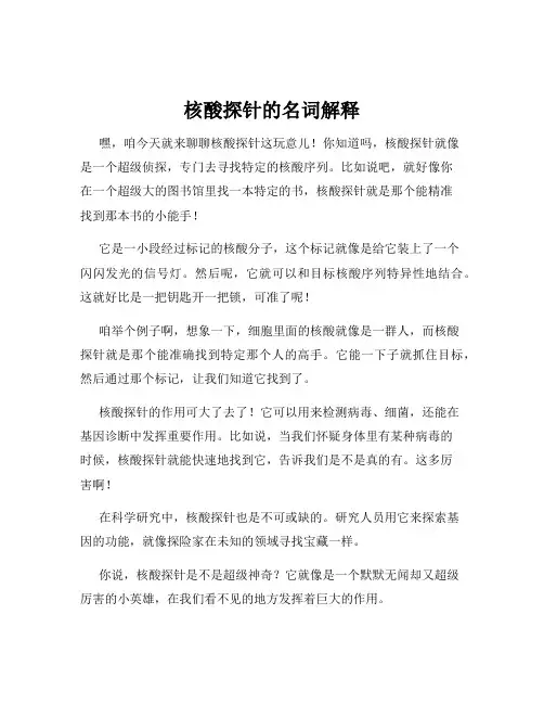 核酸探针的名词解释