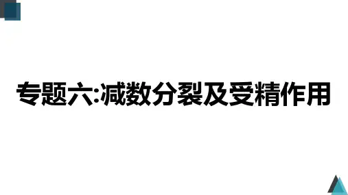 专题06减数分裂及受精作用(精讲课件)-2023年高考生物二轮复习讲练测(全国通用)