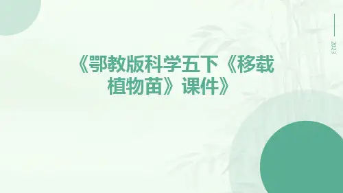鄂教版科学五下《移载植物苗》课件