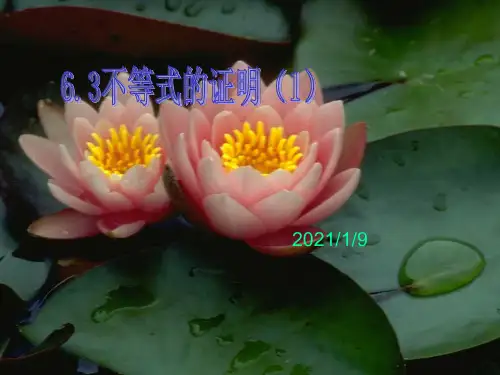 高二数学不等式的证明1ppt-资料.ppt