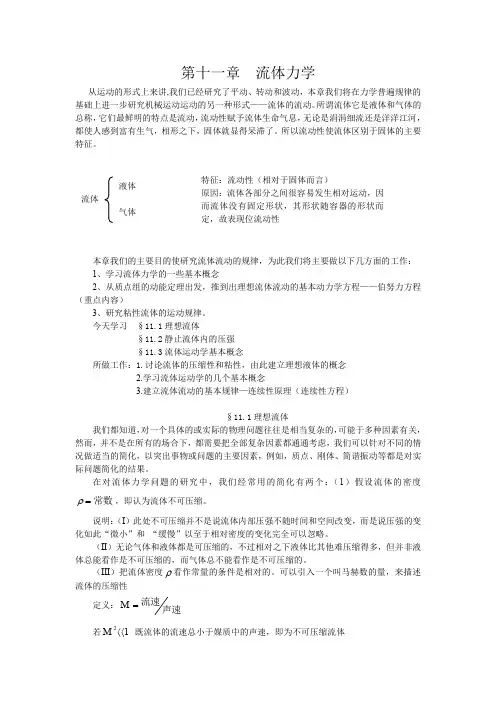 第十一章流体力学
