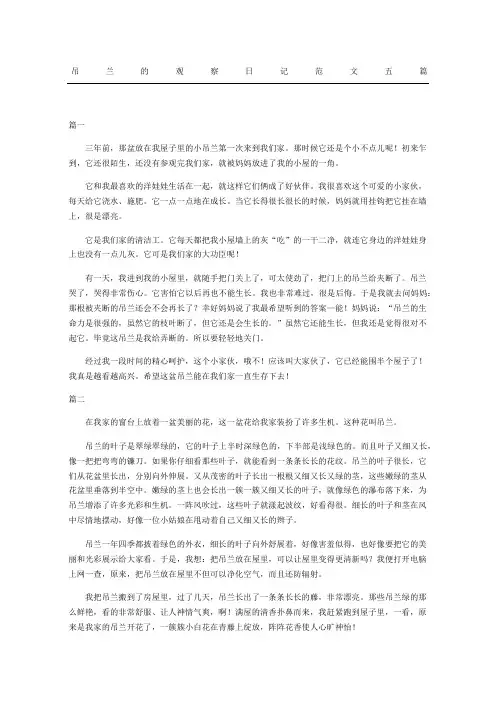 吊兰的观察日记范文五篇