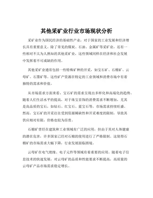 其他采矿业行业市场现状分析