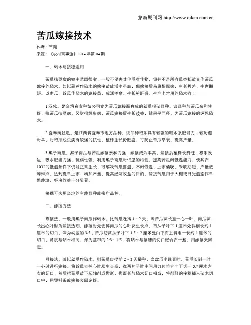 苦瓜嫁接技术