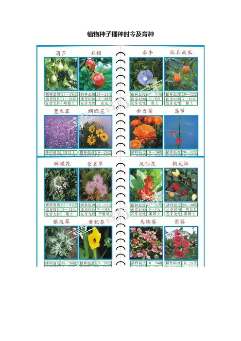 植物种子播种时令及育种