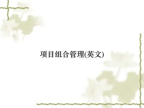 项目组合管理(英文)