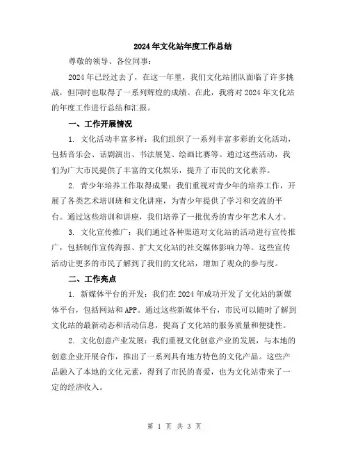 2024年文化站年度工作总结