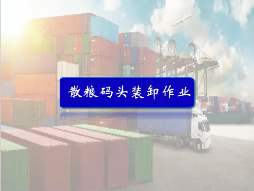 散货码头装卸作业—散装粮食码头装卸作业