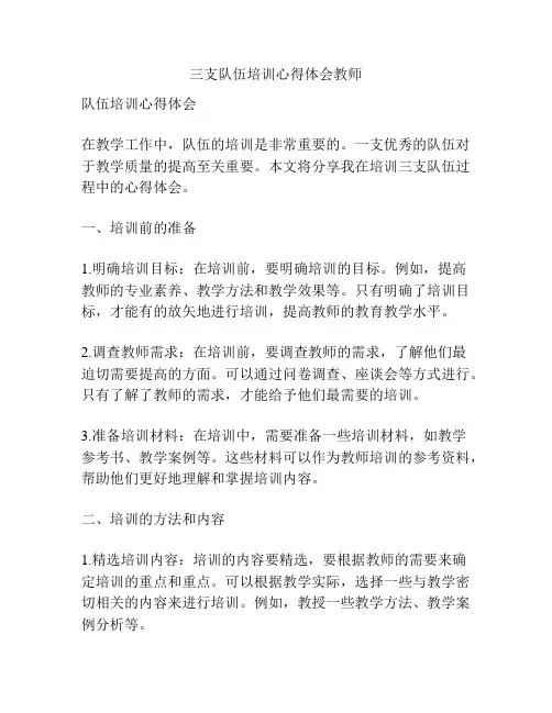 三支队伍培训心得体会教师