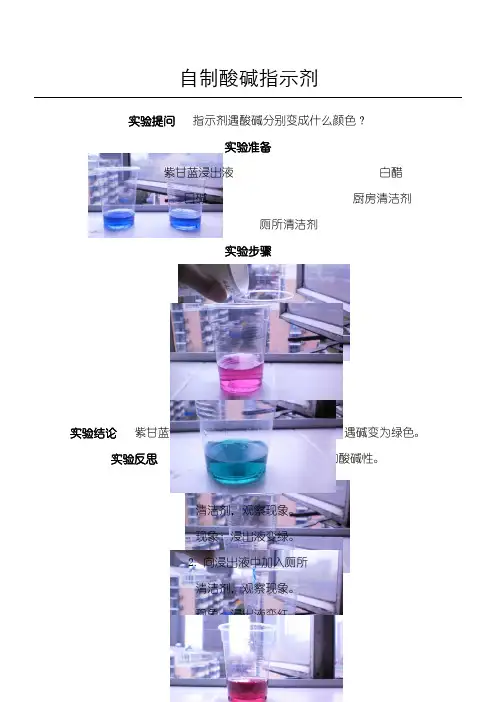 化学实验(自制酸碱指示剂)