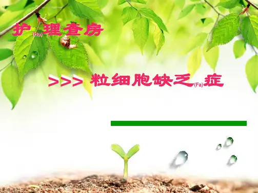 粒细胞缺乏症的护理查房培训ppt