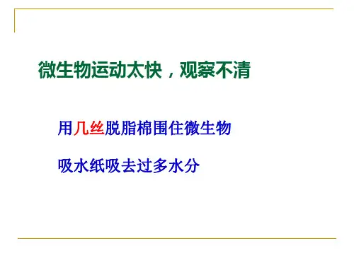六年级下册科学课件1.7 用显微镜观察身边的生命世界｜教科版